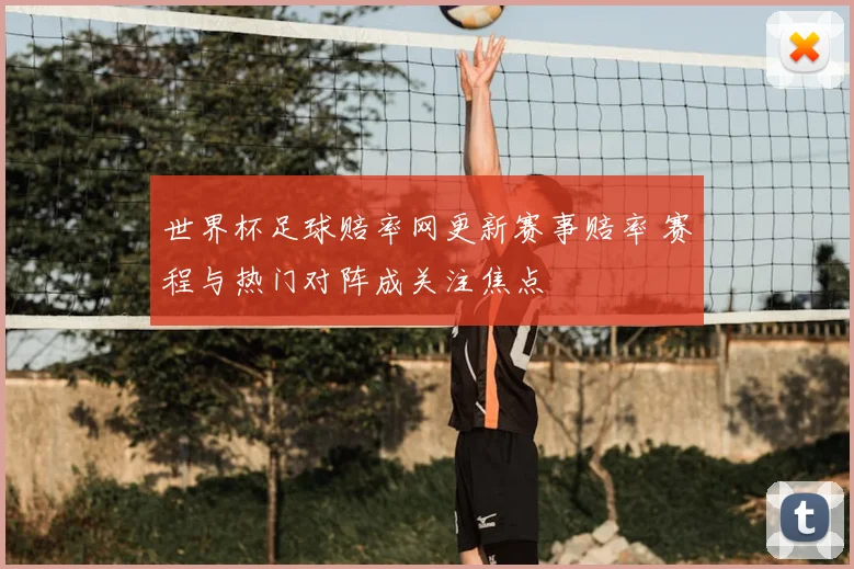 世界杯足球赔率网更新赛事赔率 赛程与热门对阵成关注焦点