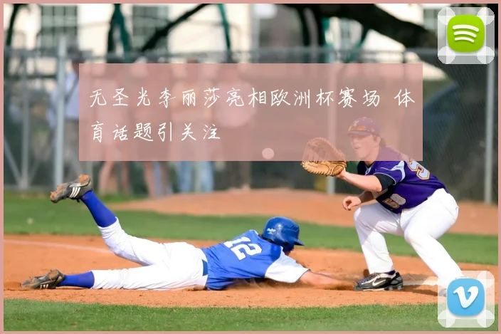 无圣光李丽莎亮相欧洲杯赛场 体育话题引关注